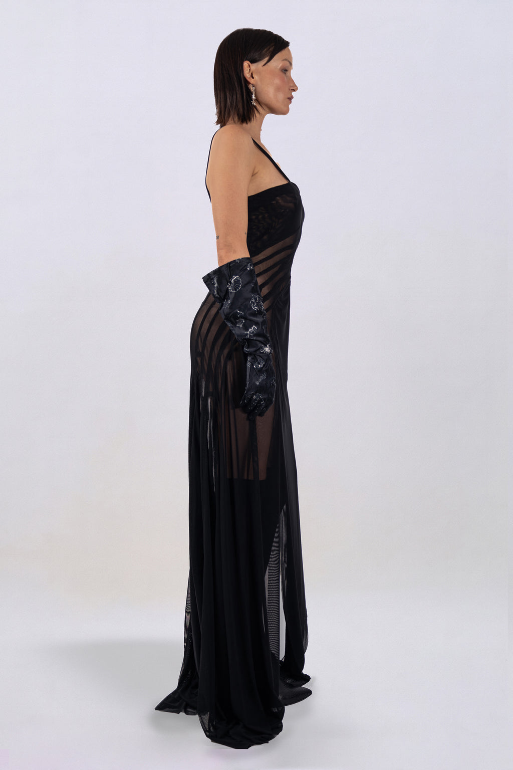Leonora sheer paneled dress
