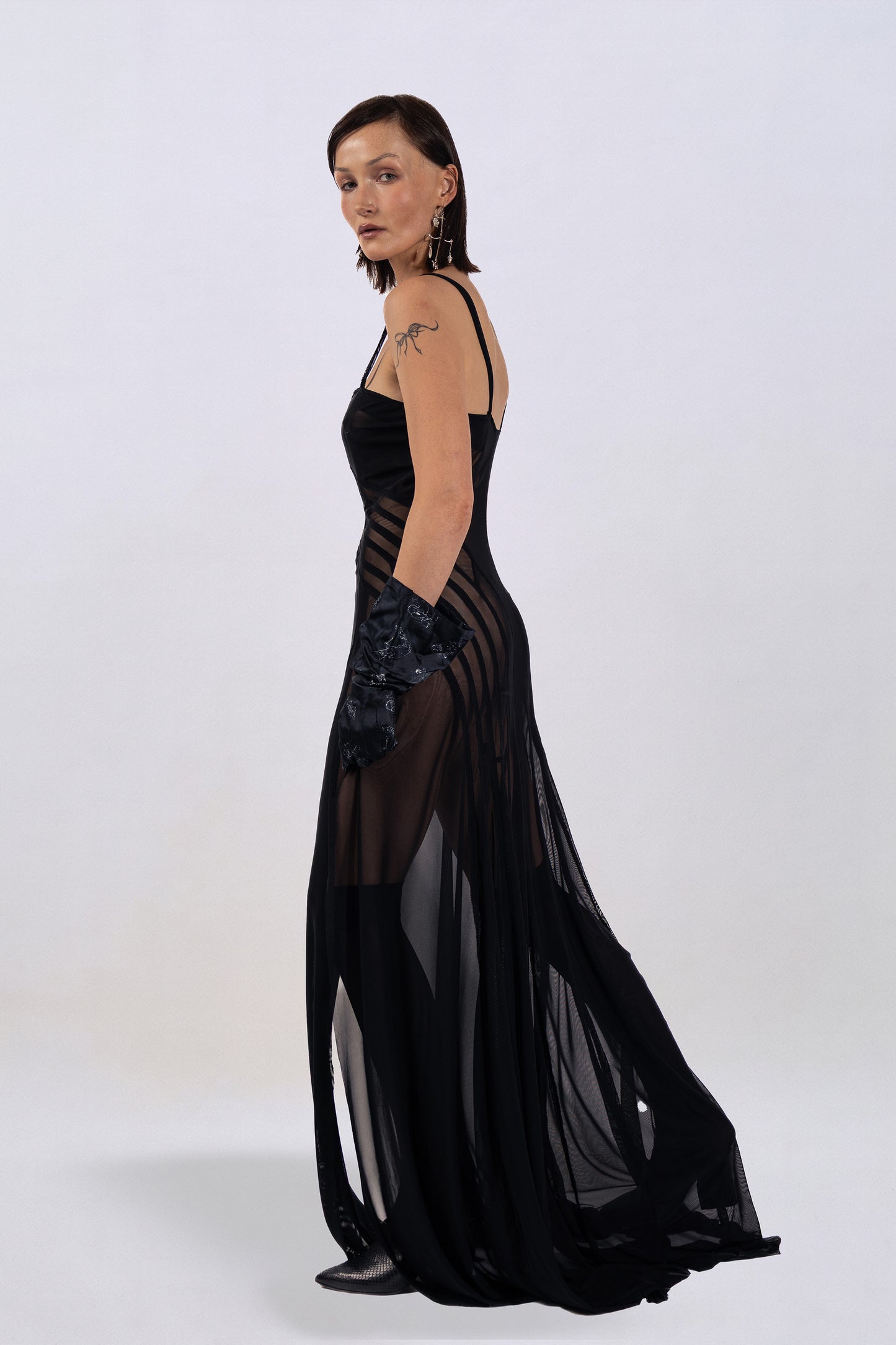 Leonora sheer paneled dress