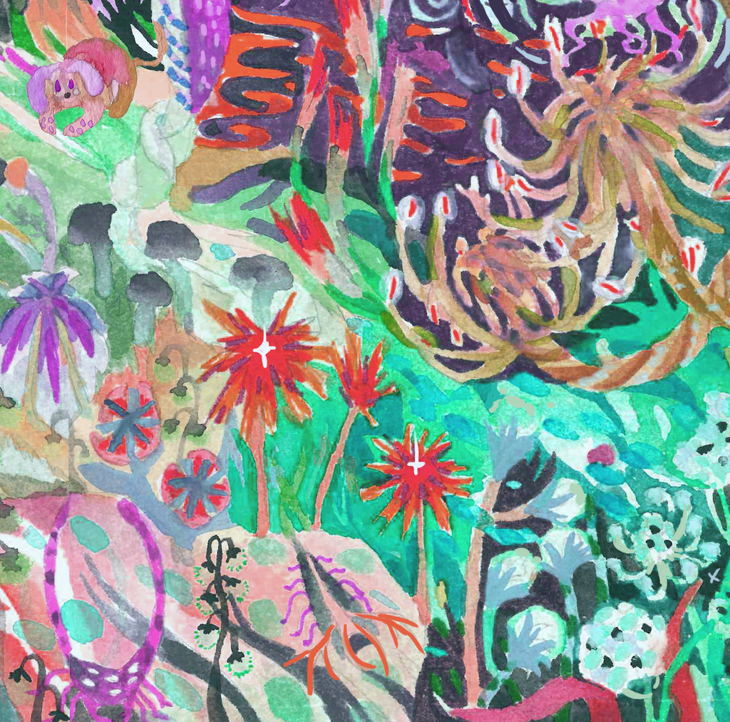 Aqua jungle
